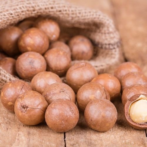 Nueces de macadamia – En cáscara (entera) Tamaño mediano (1 LB)
