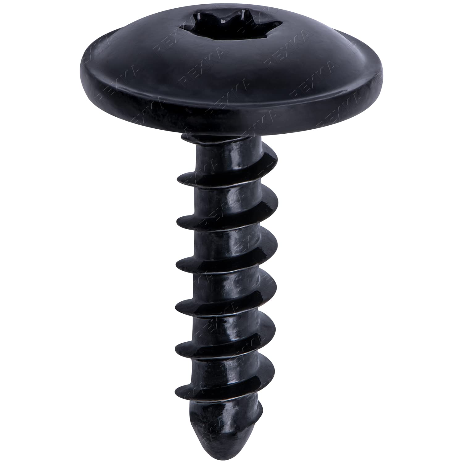 Rexka 20 piezas M5-0.083 x 0.748 in T25 Torx Fender Liner Splash Guard Under Cover Soporte de licencia Truss Head Tapping Tornillo Tornillo