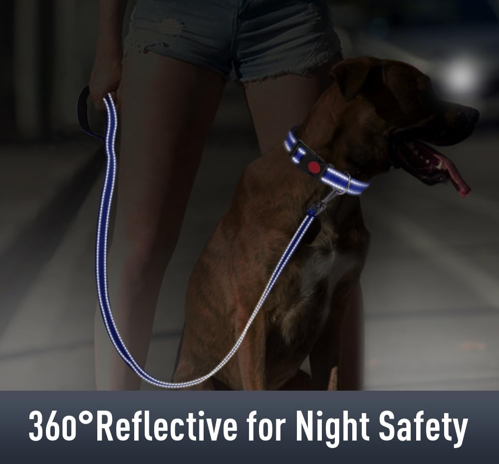 Airtag – Collar de perro para cachorros, collares reflectantes con soporte AirTag, hebilla de bloqueo de seguridad y acolchado suave, collar de
