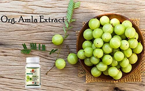 Sewanti Organic Amla Anti oxidante & Cleansing Aid 60 cápsulas veganas de extracto de alta potencia, 500 mg