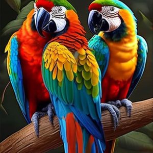 Kits de pintura de diamantes 5D para adultos, loro peculiar, kit de pintura de diamante, hermosos animales de dibujos animados por números para Kits de pintura de diamantes 5D para adultos, loro peculiar, kit de pintura de diamante, hermosos animales de dibujos animados por números para