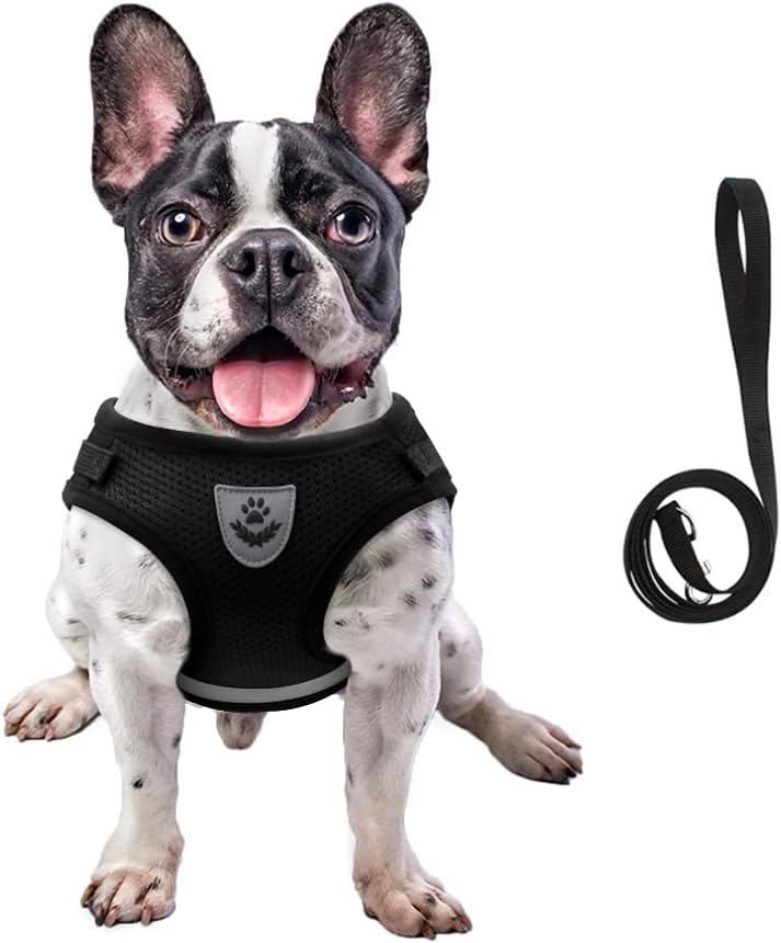 FEimaX Juego de arnés y correa para perro, malla suave ajustable, de fácil control, chaleco ligero para gatos con tiras reflectantes, a prueba de