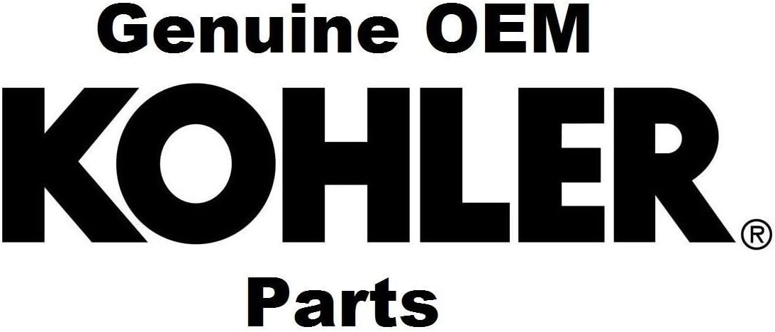 Kohler Paquete de 2 filtros de combustible para motor 25 050 07-S de 75 micrones con diámetro interior de línea de combustible de 316 pulgadas y 14