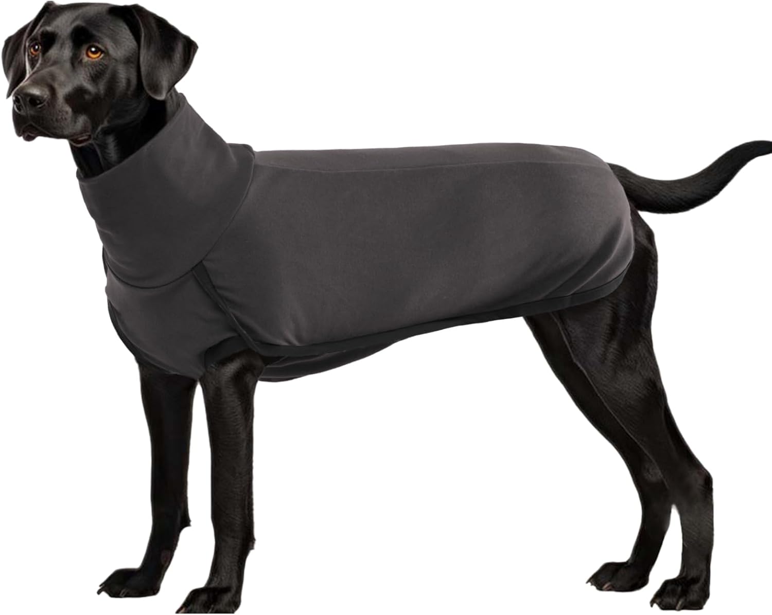 ROZKITCH Abrigo de invierno para perro, pijama suave para mascotas, resistente al viento, chaqueta cálida para clima frío, chaleco acogedor, ropa