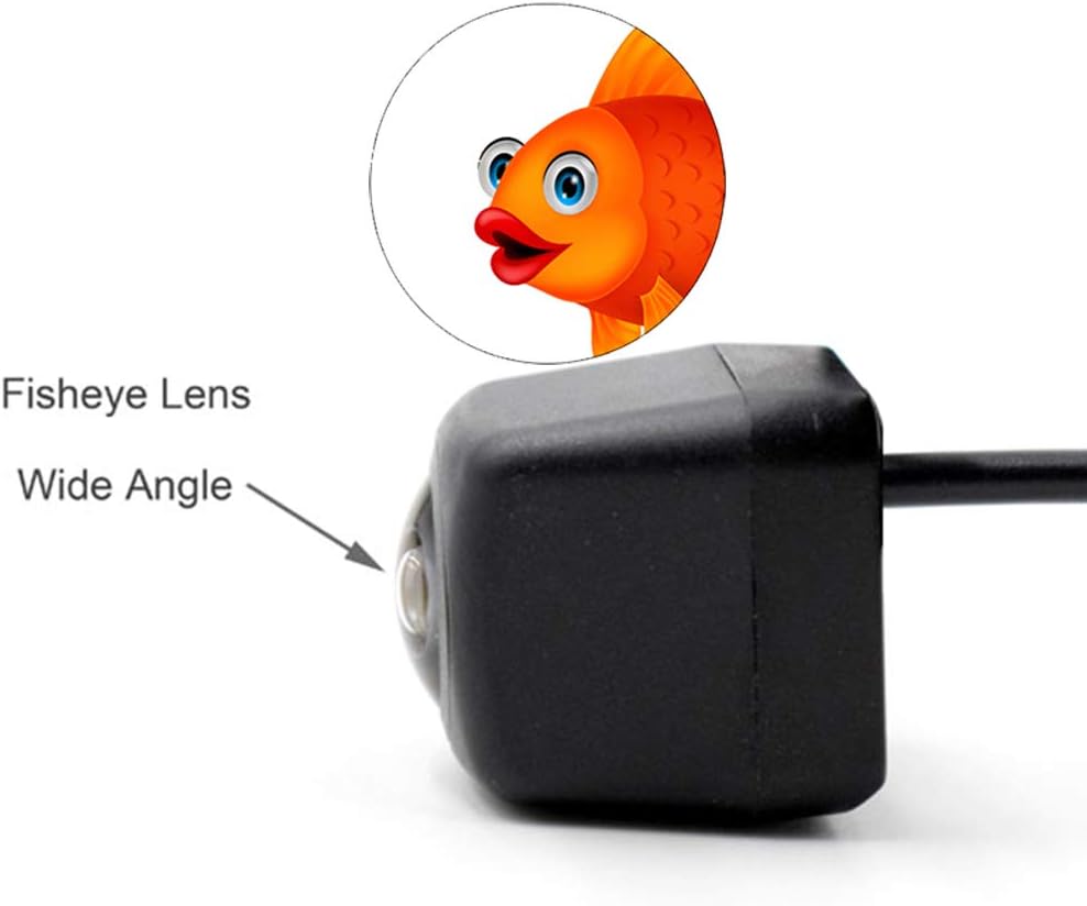 Vlicevrn HD Fisheye – Cámara de visión trasera para vehículo, pistas de trayectoria dinámica, visión nocturna, cámara de estacionamiento de respaldo