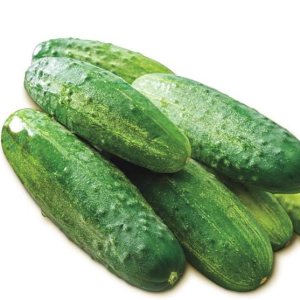 Pepino Rebanado Early Spring Burpless Hybrid Pkt – Aprox. 35 Semillas Pepino Rebanado Early Spring Burpless Hybrid Pkt – Aprox. 35 Semillas