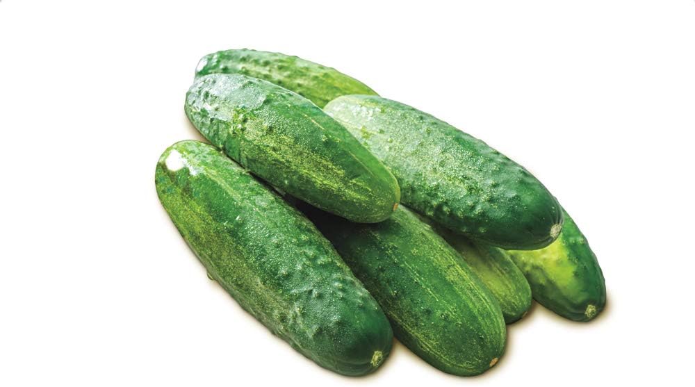 Pepino Rebanado Early Spring Burpless Hybrid Pkt – Aprox. 35 Semillas