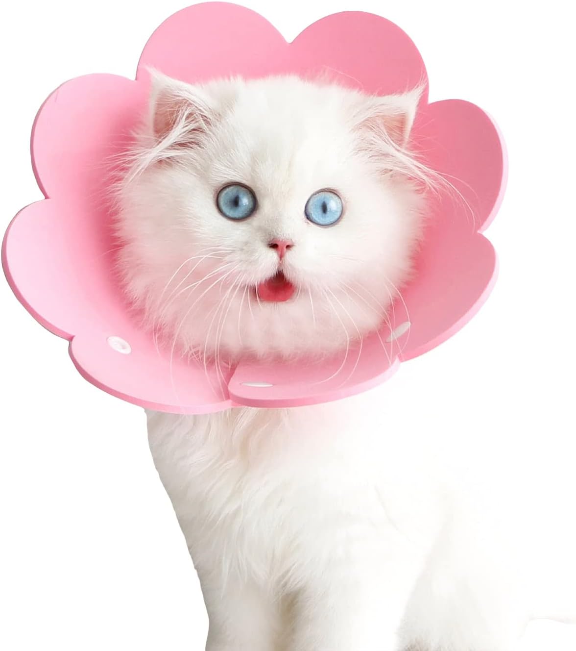 QWINEE Collar de cono de gato con forma de flor, ajustable, ligero, suave, collar de recuperación para cachorros, gatitos, perros pequeños, gatos