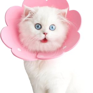 QWINEE Collar de cono de gato con forma de flor, ajustable, ligero, suave, collar de recuperación para cachorros, gatitos, perros pequeños, gatos QWINEE Collar de cono de gato con forma de flor, ajustable, ligero, suave, collar de recuperación para cachorros, gatitos, perros pequeños, gatos
