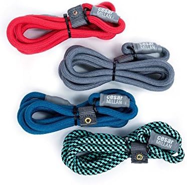 Cesar Millan Correa deslizante para perro, correa de entrenamiento (regular, gris)