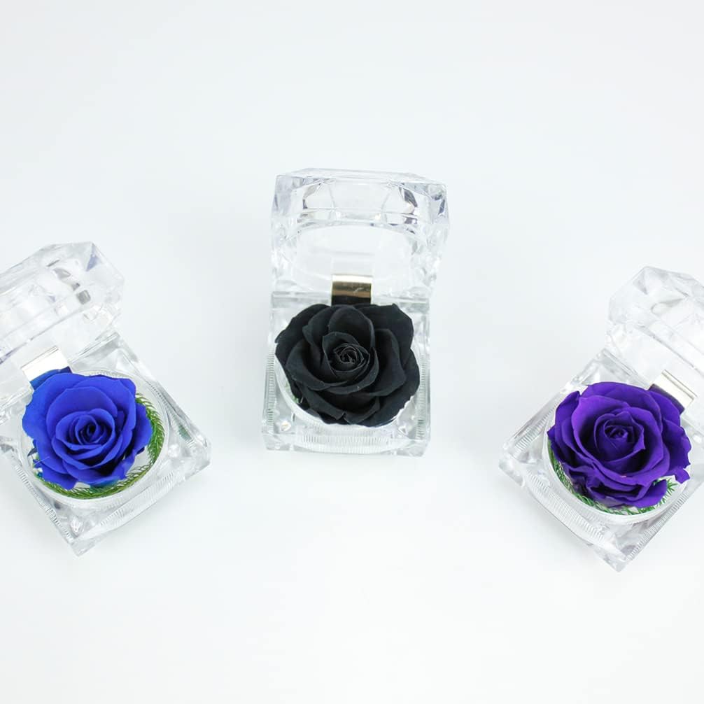Gadpiparty Rosa preservada en una caja, regalo de rosa eterna en cúpula de cristal con cinta preservada para aniversario, cumpleaños, día de San