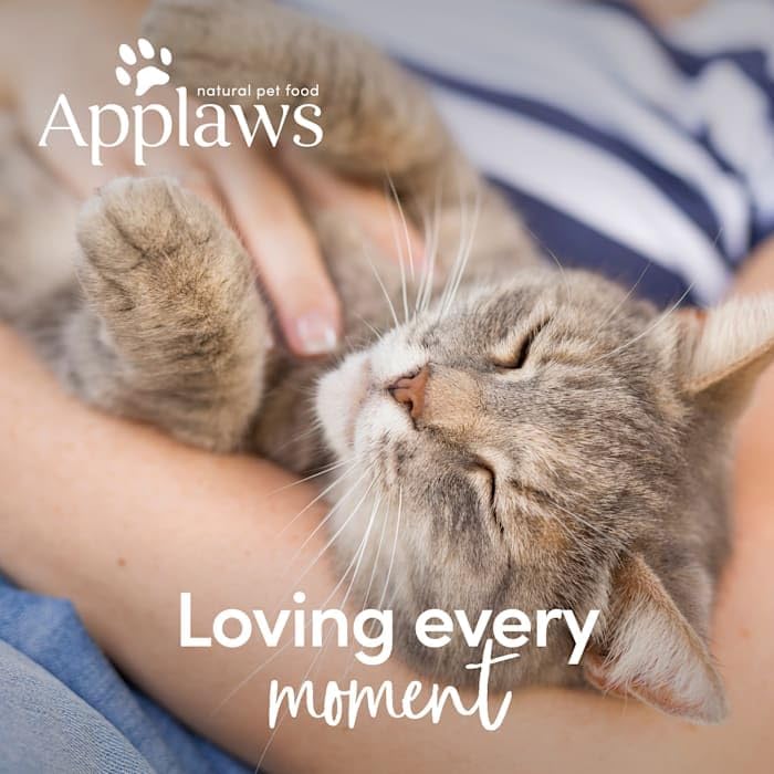 Applaws Alimento húmedo natural para gatos, 8 unidades, ollas de comida para gatos de ingredientes limitados, selección de pescado en salsa, macetas