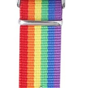 Hemobllo – Reloj de pulsera con diseño de arcoíris y cuarzo, reloj delicado, para decoración de la muñeca, para el hogar, mujeres, hombres (plateado) Hemobllo – Reloj de pulsera con diseño de arcoíris y cuarzo, reloj delicado, para decoración de la muñeca, para el hogar, mujeres, hombres (plateado)