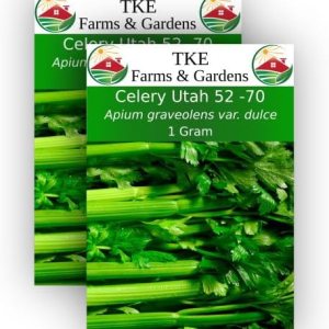 TKE Farms, Semillas de apio para plantar, Utah 52-70, 0.04 oz aproximadamente 2500 semillas, Apium graveolens VAR. Dulce, sin OMG, reliquia, TKE Farms, Semillas de apio para plantar, Utah 52-70, 0.04 oz aproximadamente 2500 semillas, Apium graveolens VAR. Dulce, sin OMG, reliquia,