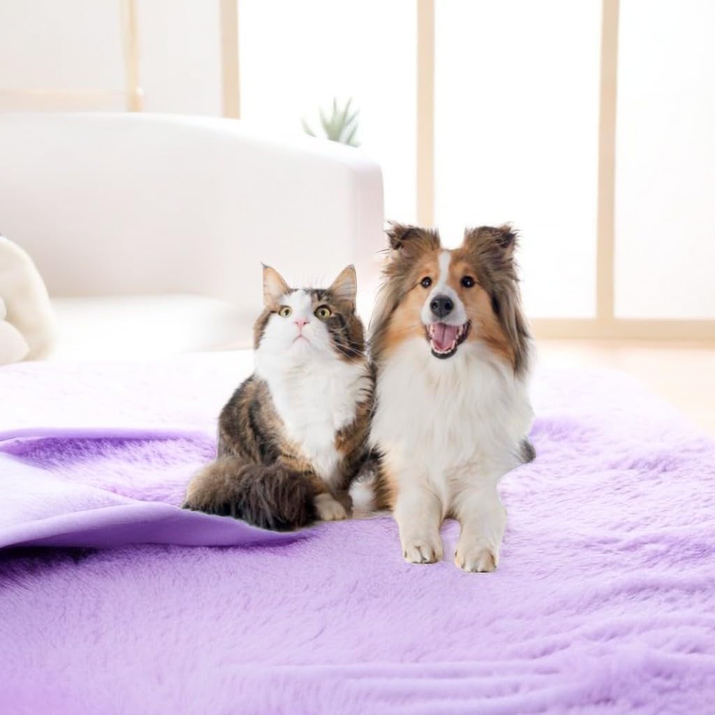 Vetmor Aspiradora para perros para pelos de mascotas, kit de aseo para perros, secador de pelo, soplador