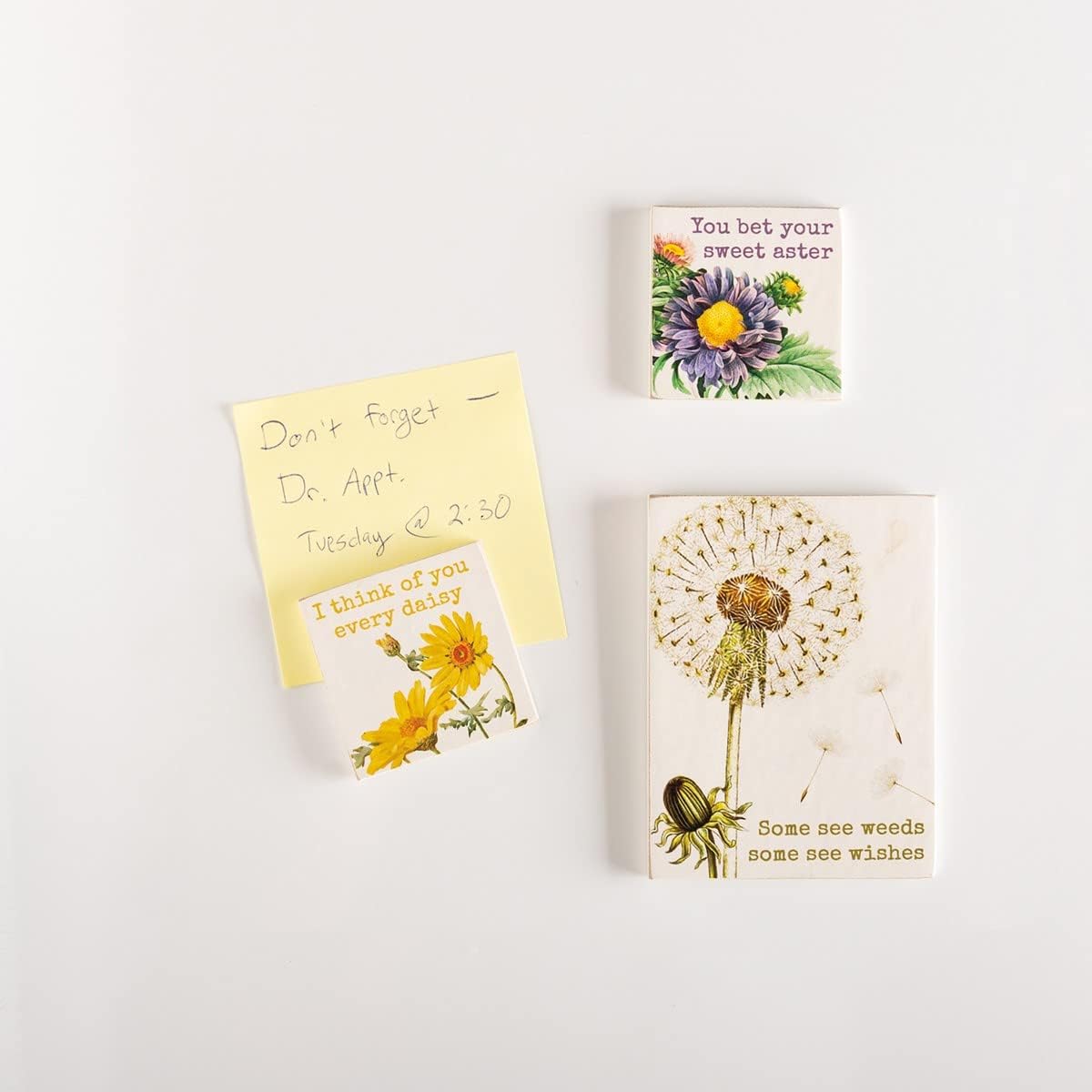 Primitives by Kathy Some See Weeds Some See Wishes, I Think of You Every Daisy, You Bet Your Sweet Aster – Juego de imanes decorativos