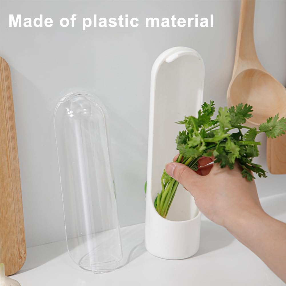 Recipientes de cilantro para refrigerador, contenedor de espárragos para refrigerador, contenedor de hierbas frescas para cilantro, menta, perejil,