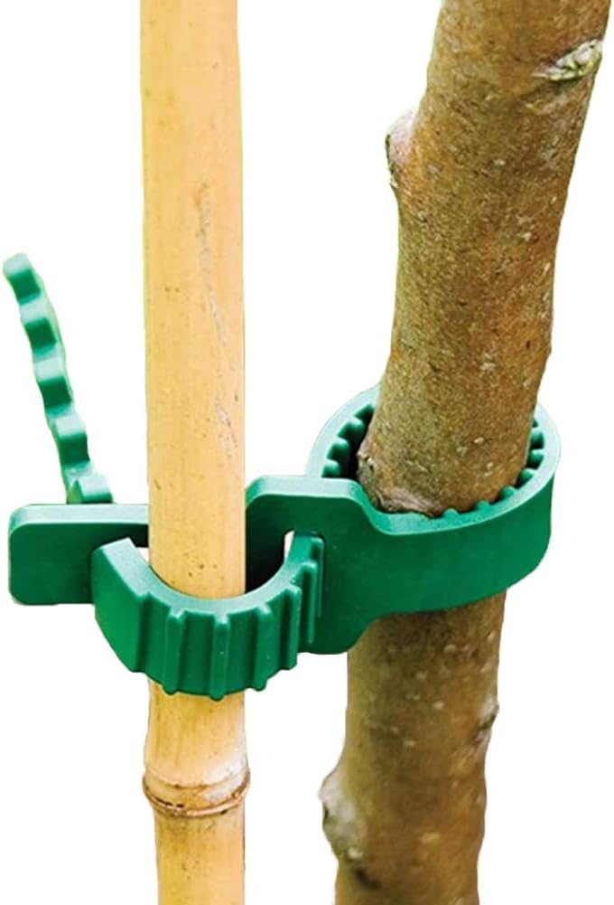 8 bandas de soporte para estacas de árbol, entrelazado ajustable resistente, reutilizables, para plantas de jardín y arbustos de 9.4 pulgadas