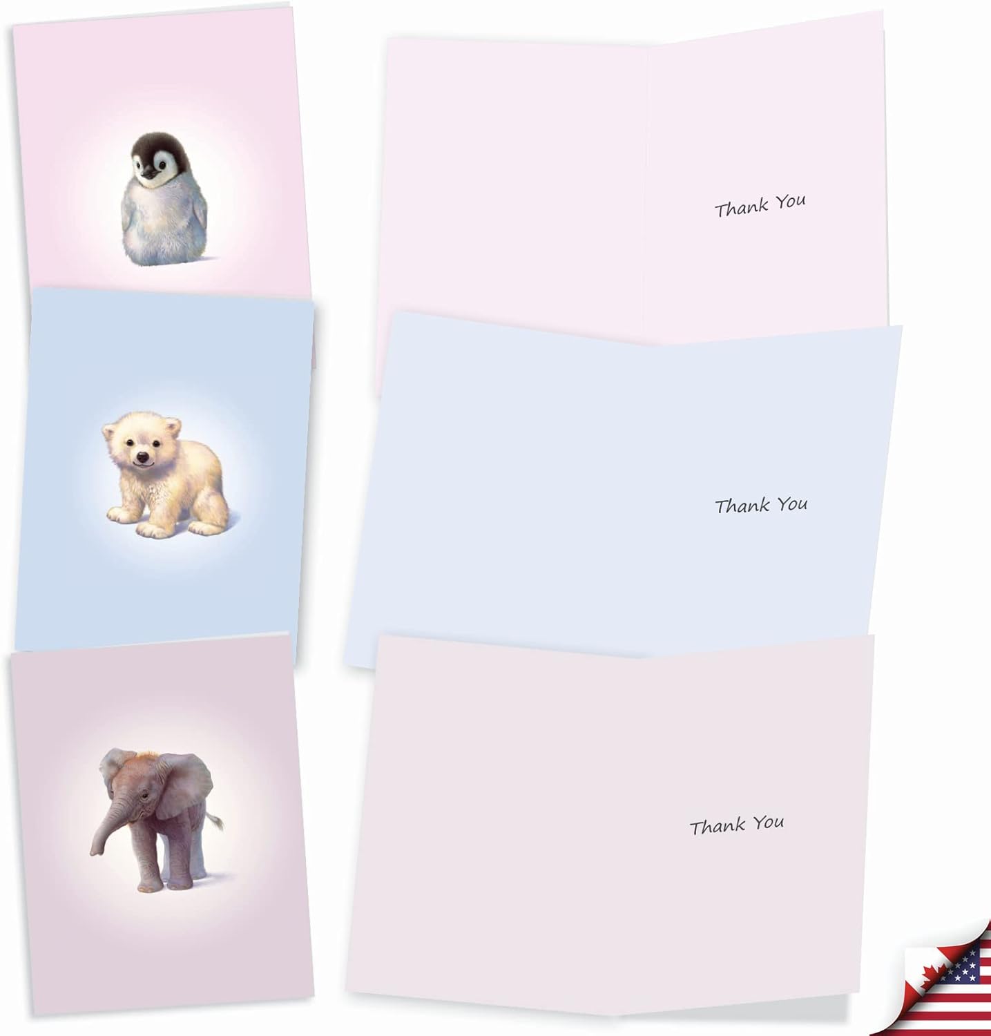 The Best Card Company, Zoo Babies – 10 tarjetas de agradecimiento en caja (4 x 5.12 pulgadas) – Animal Baby Thank Yous con sobres M6726TYG