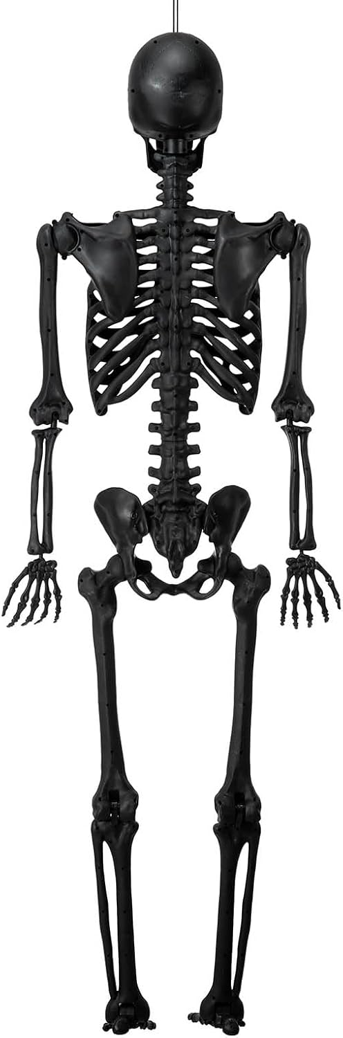Decoración de esqueleto de Halloween, esqueleto de Halloween, tamaño real, articulaciones articuladas articuladas humanas de tamaño completo, cuerpo