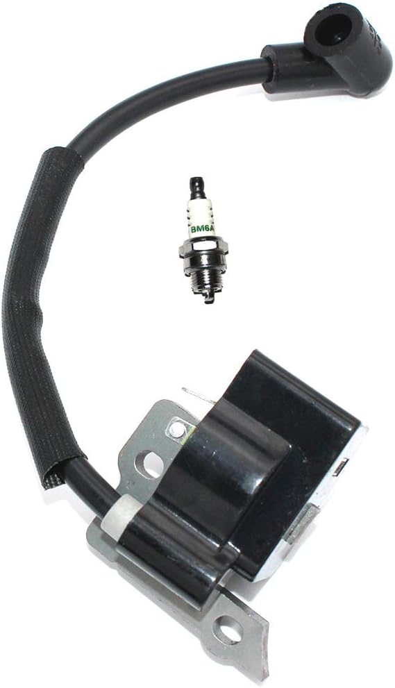Módulo de encendido EWith Bujía BM6A para Ryobi RY09460 RY13010 RY34000 RY34420 RY34421 RY34440(S430) RY34441 RY64400 FY09440 RY34001 RY34001