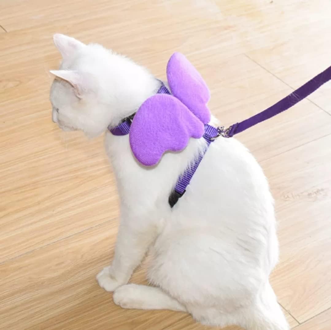 Accesorios para mascotas, correas a juego, juego de arnés de alas de ángel. Gatos, perros, conejos, hámsteres. Chaleco de malla ajustable con correa