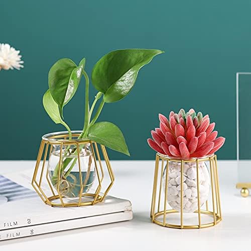 KOPee Nordic Golden Glass Vase Hydroponic Plant Vase Iron Art Flower Pot Desktop Home Decor Ornaments Personality Gift Modern jarrones (Color K,