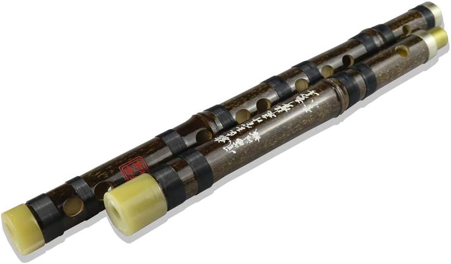 Flauta Dizi (clave de C, D, E, F, G), de bambú amargo, negra, para principiantes y profesionales, con juego de membrana, pegamento y protector. Este
