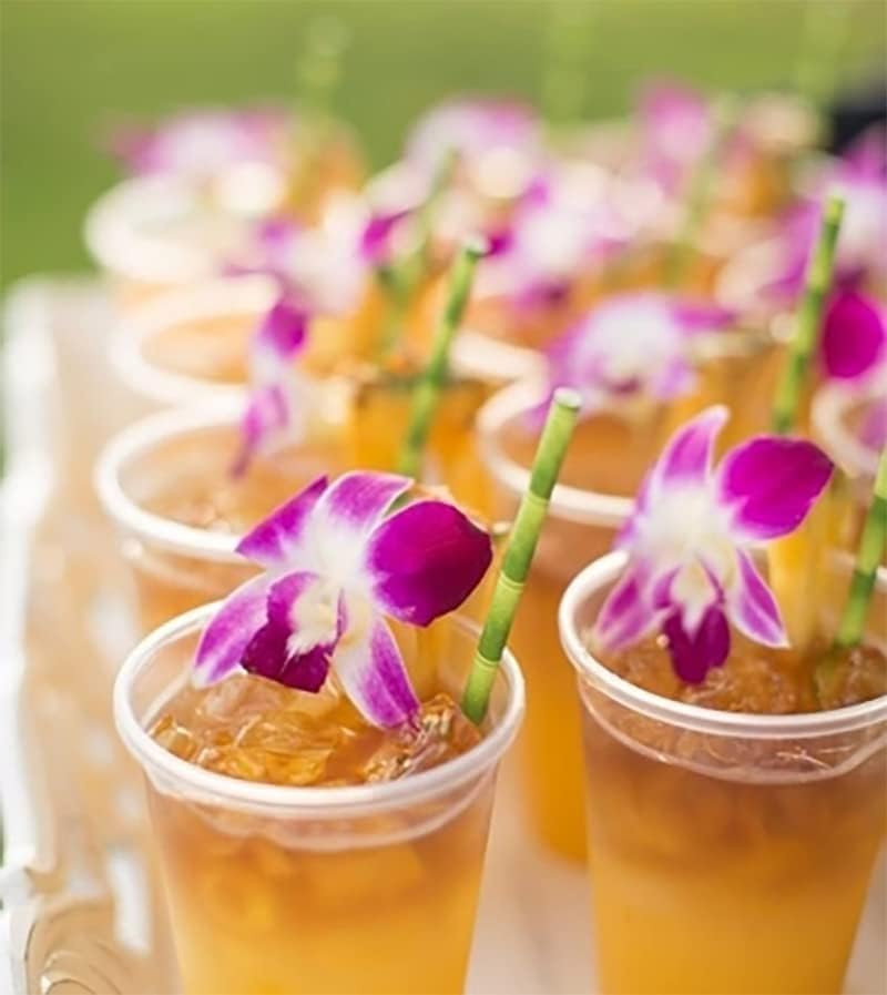 Miami Fresh Orchid Flower OrchidClub USA Sunne Tropical Loose Bloom DIY Lei, decoración de alimentos y bebidas (50 morado)