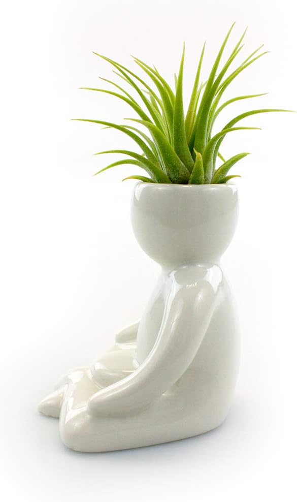 Maceta de cerámica blanca de 3.25 pulgadas con forma de persona con planta de aire Tillandsia viva, plantas de aire de interior en maceta para