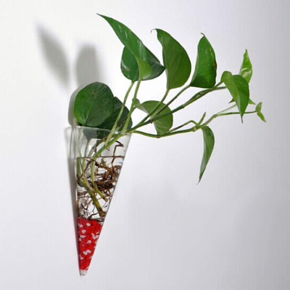 Florero de cristal para colgar en la pared, jarrón de vidrio en forma de cono, maceta suculenta, terrario de vidrio, jarrón de flores, estaciones de