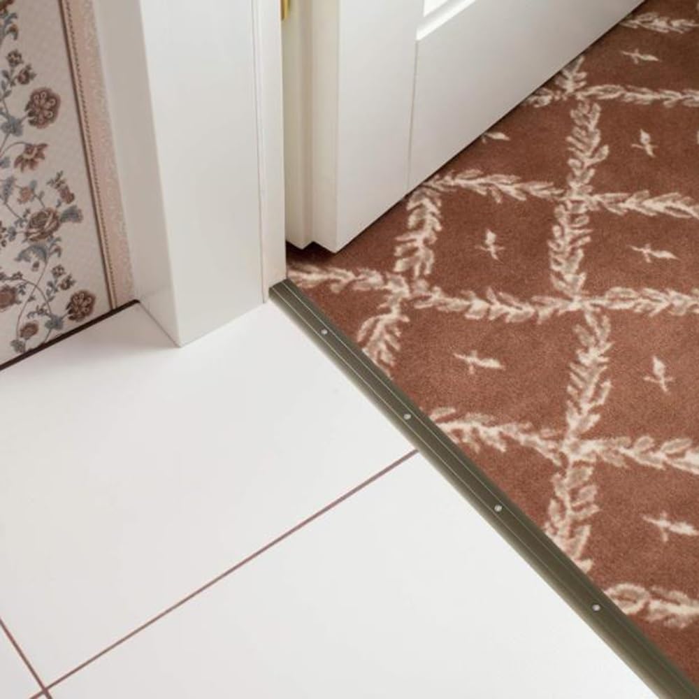 NILZA Tira de transición plana de aluminio para puertas, tira de transición de piso de madera a alfombra, tira de transición de piso de 14 de ancho,
