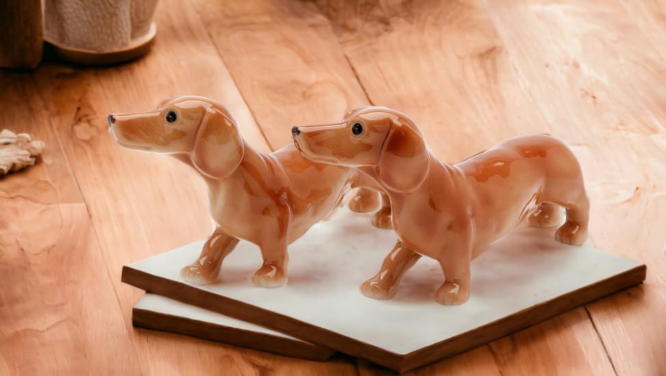 Juego de salero y pimentero de cerámica de porcelana fina, 5 pulgadas de largo