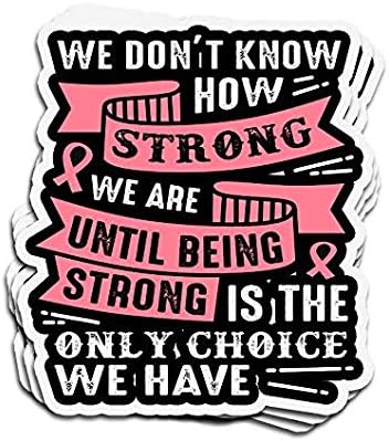 We Don’t Know How Strong are Pink Gift Concientización sobre el cáncer de mama  Adhesivo  Calcomanías estéticas de vinilo Stickers para botella de