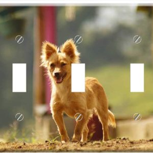 Switch Plate Triple Toggle – My Dogs The Field Armenia Quindio 4 Switch Plate Triple Toggle – My Dogs The Field Armenia Quindio 4
