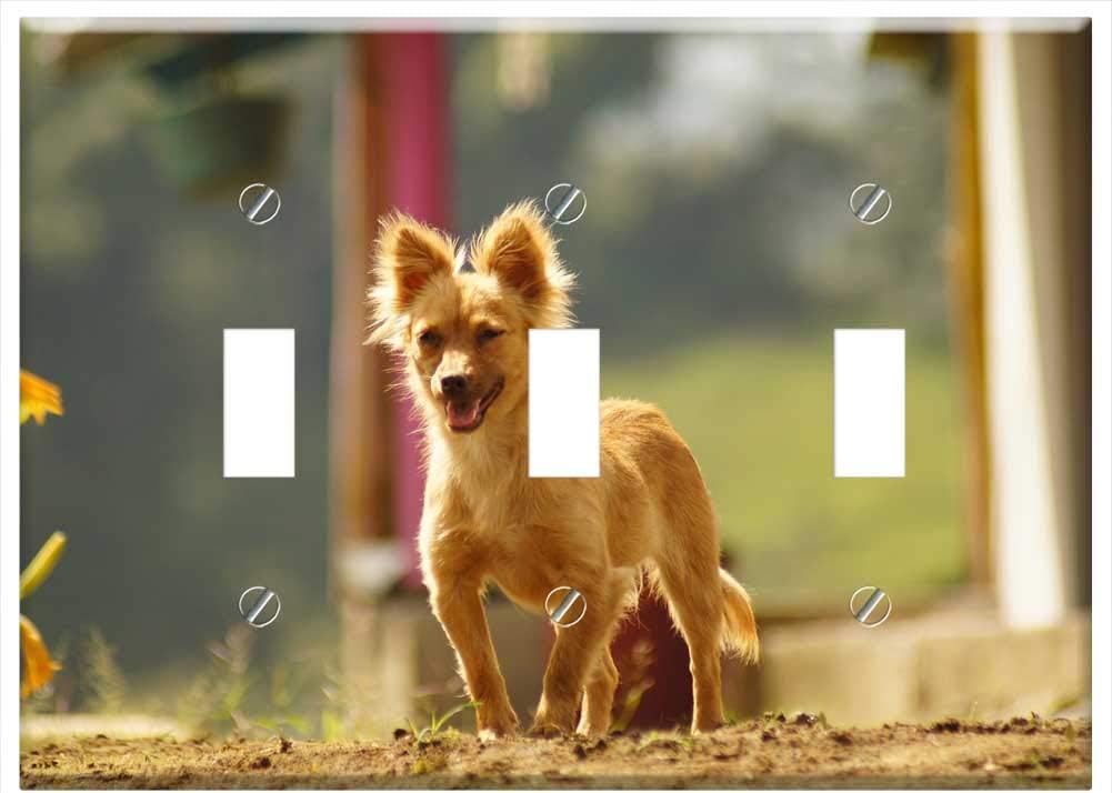 Switch Plate Triple Toggle – My Dogs The Field Armenia Quindio 4