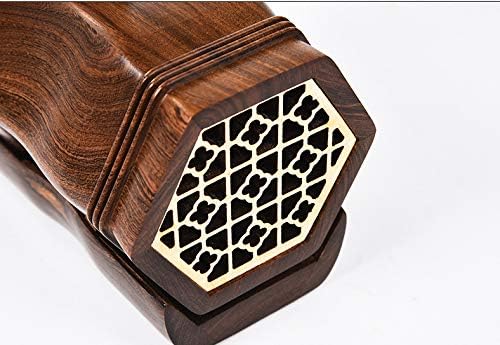 MAESTRO SERIES South East Asian Recuperado Rosewood Erhu – Violín de violín chino de 2 cuerdas para artistas avanzados
