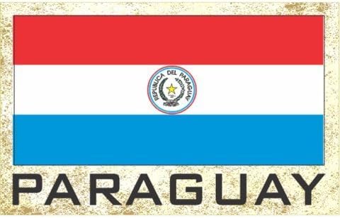 Imanes para frigorífico con bandera – Americas Grp 2 (paquete de 1, País Paraguay)