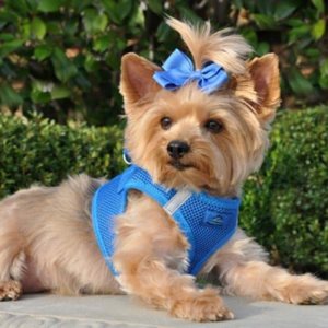 DOGGIE DESIGN Arnés reflectante sin estrangulamiento para paso en ultra arnés Royal Blue American River (XS) DOGGIE DESIGN Arnés reflectante sin estrangulamiento para paso en ultra arnés Royal Blue American River (XS)