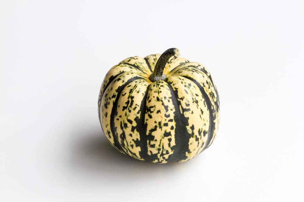 Semillas de calabaza de invierno Sweet Dumpling para plantar, más de 50 semillas de reliquia por paquete, semillas de jardín de Isla (semillas de