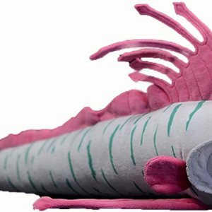 Juguete de peluche de pez de paleta de simulación, 25.98 pulgadas, suave remo de peluche de pez, juguete de peluche de Navidad para niños y niñas, Juguete de peluche de pez de paleta de simulación, 25.98 pulgadas, suave remo de peluche de pez, juguete de peluche de Navidad para niños y niñas,