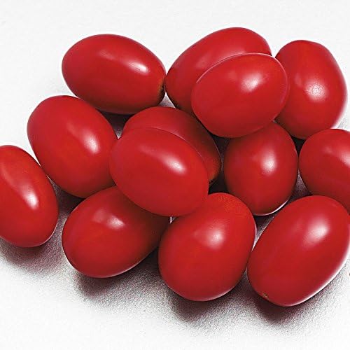 Park Seed Semillas de plantación de verduras de tomate cherry, fáciles de cultivar, variedad de colores y tamaños, jardín de primavera, híbrido