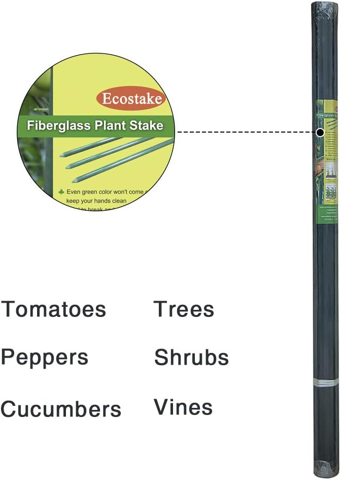 Estacas de jardín de 5 pies para plantas trepadoras, soporte para poste, paquete de 10 palos de plantas inoxidables para postes de valla