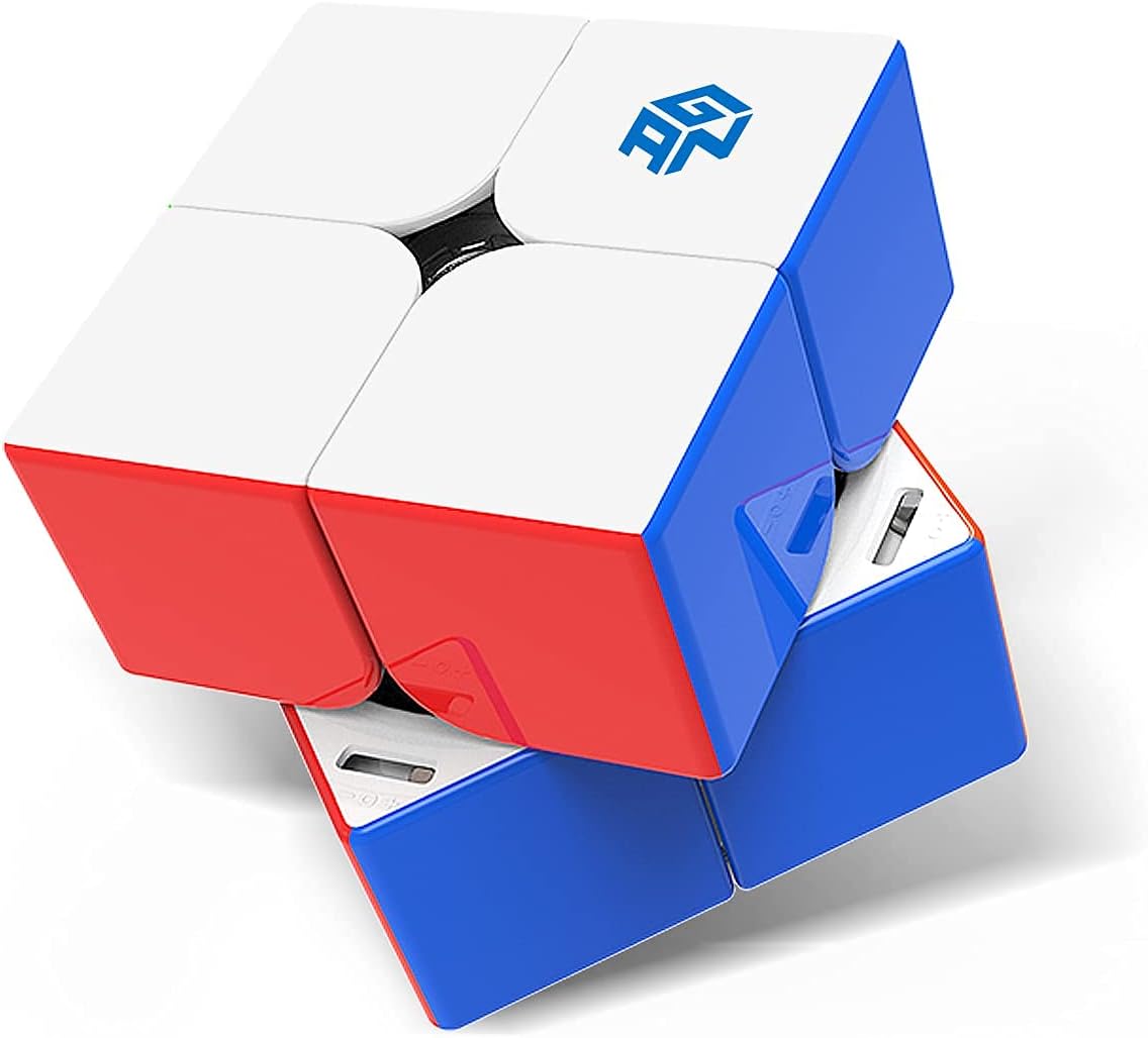 GAN 251 M Leap, cubo magnético de velocidad 2×2, sin calcomanías, 251 mini cubos, 63 imanes, juguete de rompecabezas para principiantes (superficie