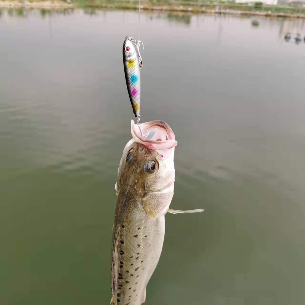 Topwater – Señuelos para lápices de agua, señuelos duros flotantes para lubina, trucha, lucioperca, señuelos flotantes para lápices