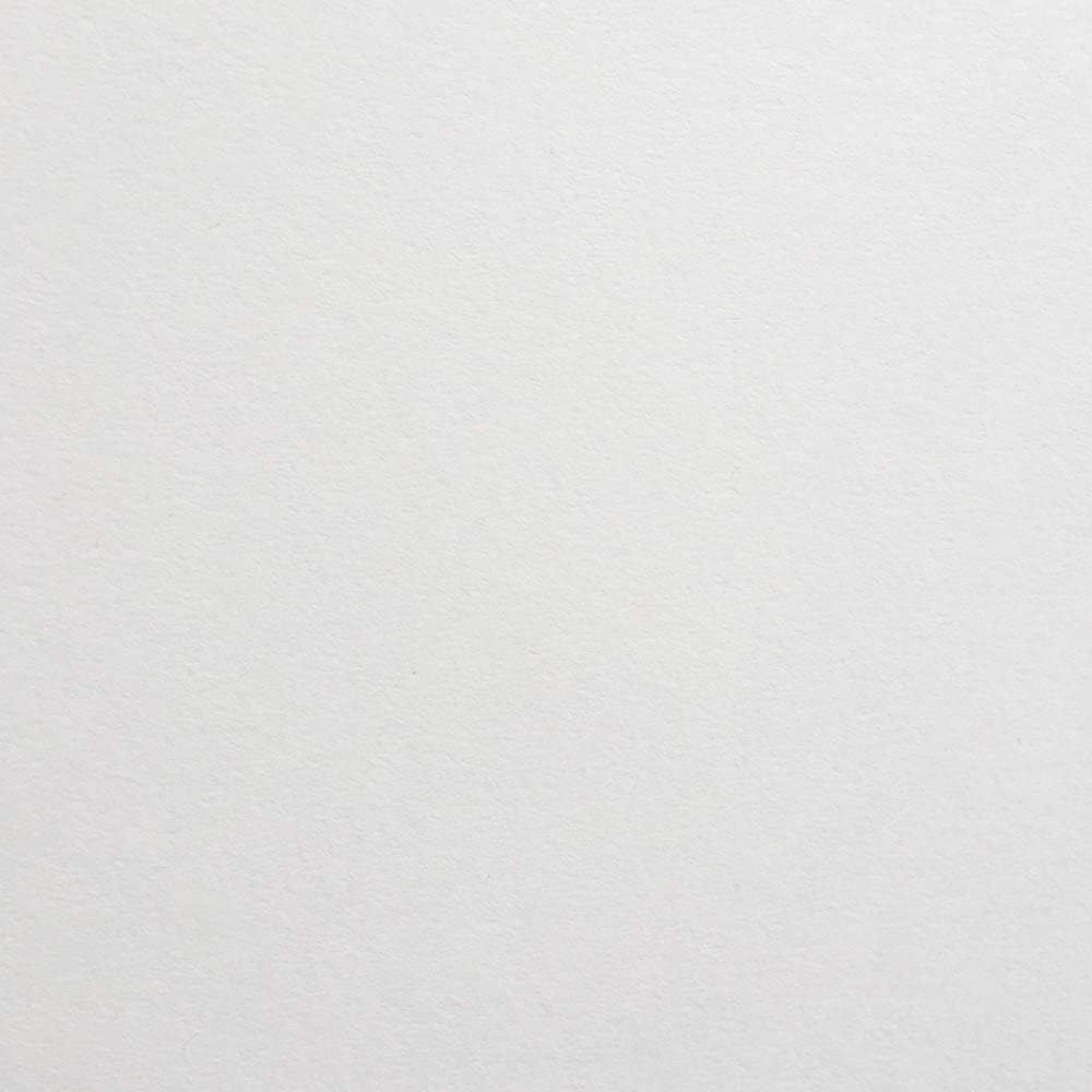 Cardstock Warehouse Foundations Barely Gray – 12 x 12 pulgadas – 100 libras  9.52 ozm, papel de cartulina 100% reciclado, 25 hojas