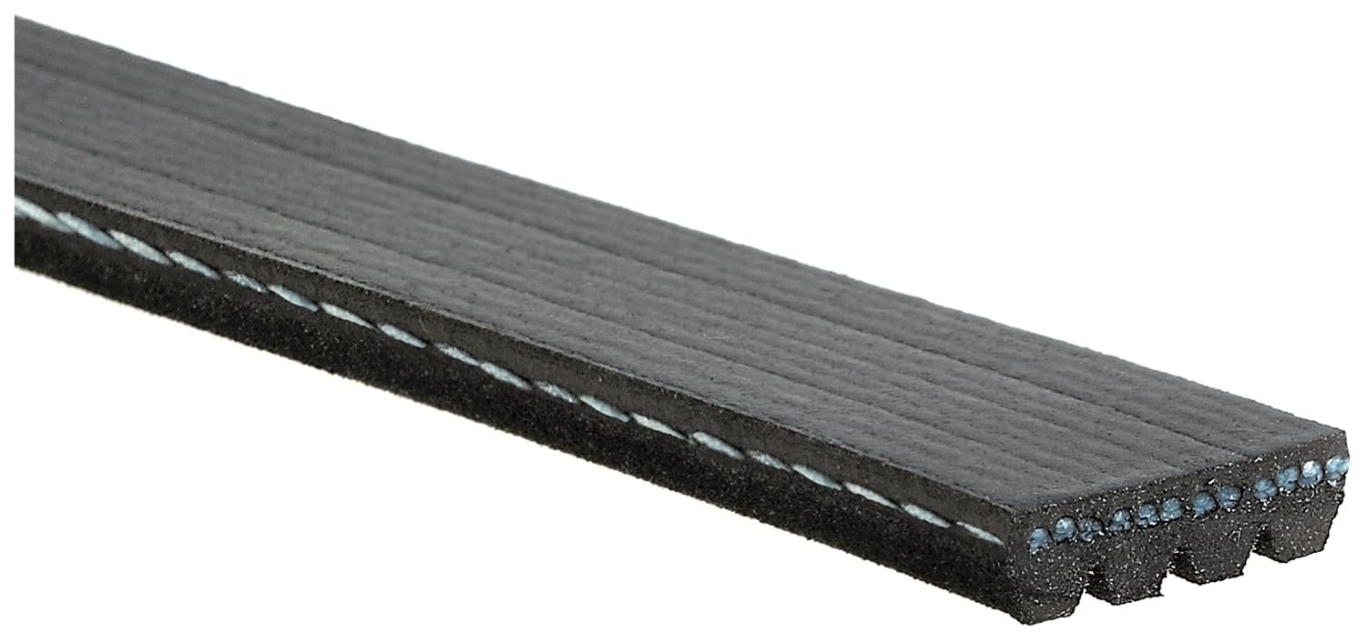 Correa serpentina de aire acondicionado compatible con Jaguar XJ6 4.0L L6 Gas 1993 1994 1995 1996 1997 PC-1078992