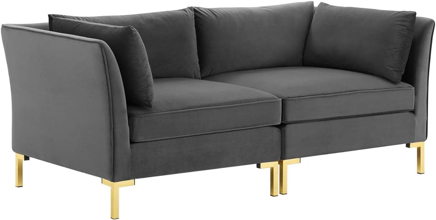 Modway Ardent Performance – Sofá biplaza de terciopelo, color gris
