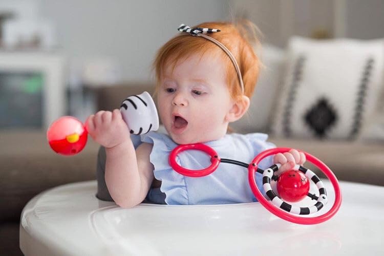 SmartNoggin Juego de hitos de desarrollo del bebé sonajero iluminado y anillos NogginStik para alcanzar y agarrar anillos