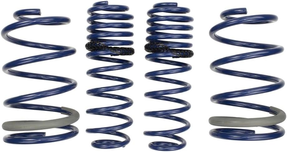 Ford Racing 2005-2014 Mustang GT 1.0in. Muelles de bajada de oruga